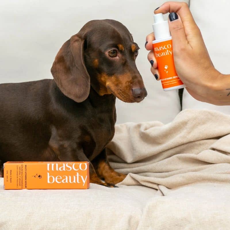 Ce serum multi vitamines pour chien et chat Masco Beauty  hydrate, régénère et soigne la peau de façon à éviter les irritations, les dermatites, etc...