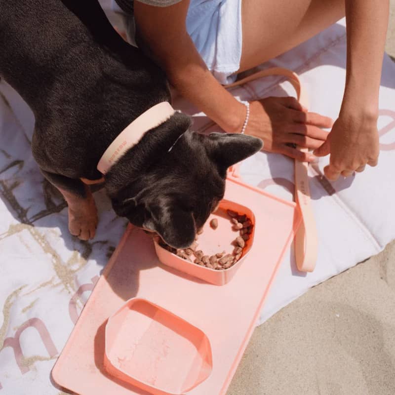 gamelle double de voyage pour nourriture et eau pour chien - Go portable bowl Maxbone