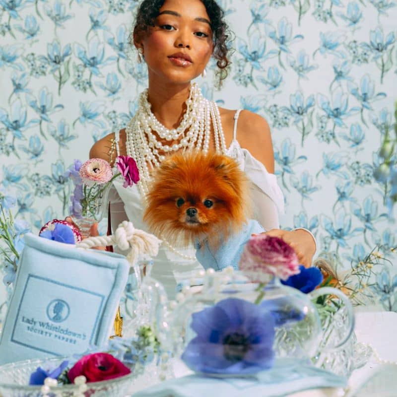 jouet peluche pour chien en forme de livre avec corde coulissante Lady Whistledown collaboration exclusive Maxbone Bridgerton