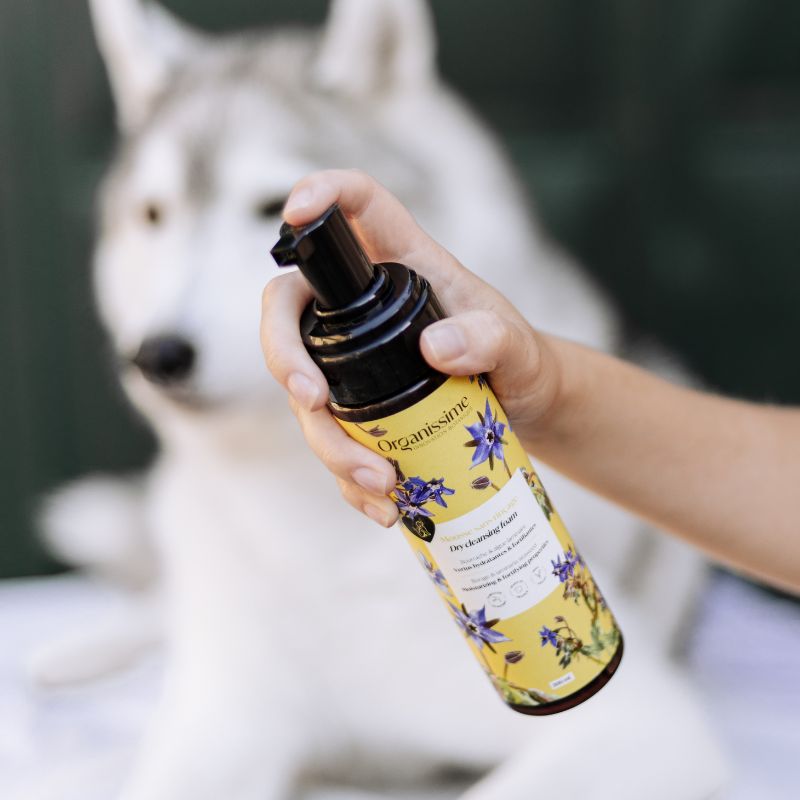 Mousse sans rinçage Organissime par biogance pour chien aux ingrédients naturels 