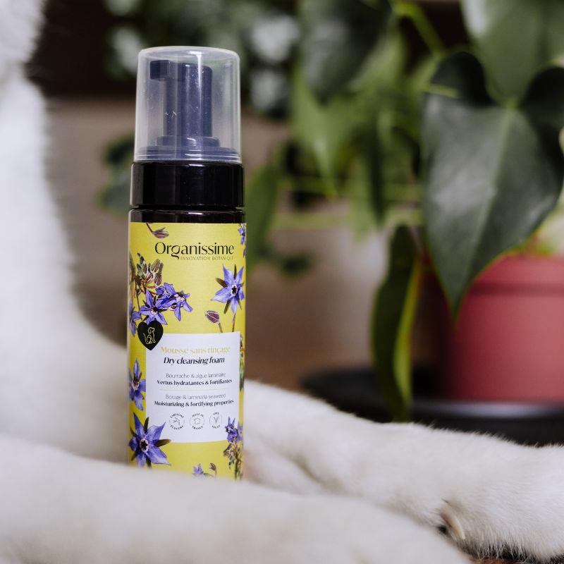 Mousse sans rinçage Organissime par biogance pour chien idéal pour nettoyer son chien sans le laver à la douche