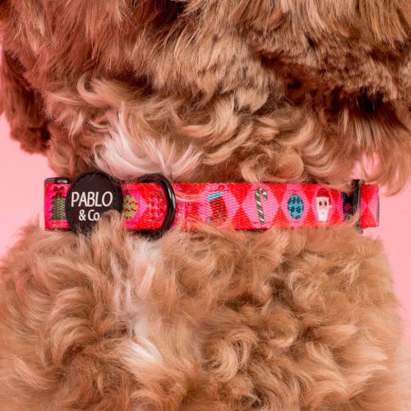 Détail du collier pour chien de Pablo & Co de Noel collection Christmas Cheer