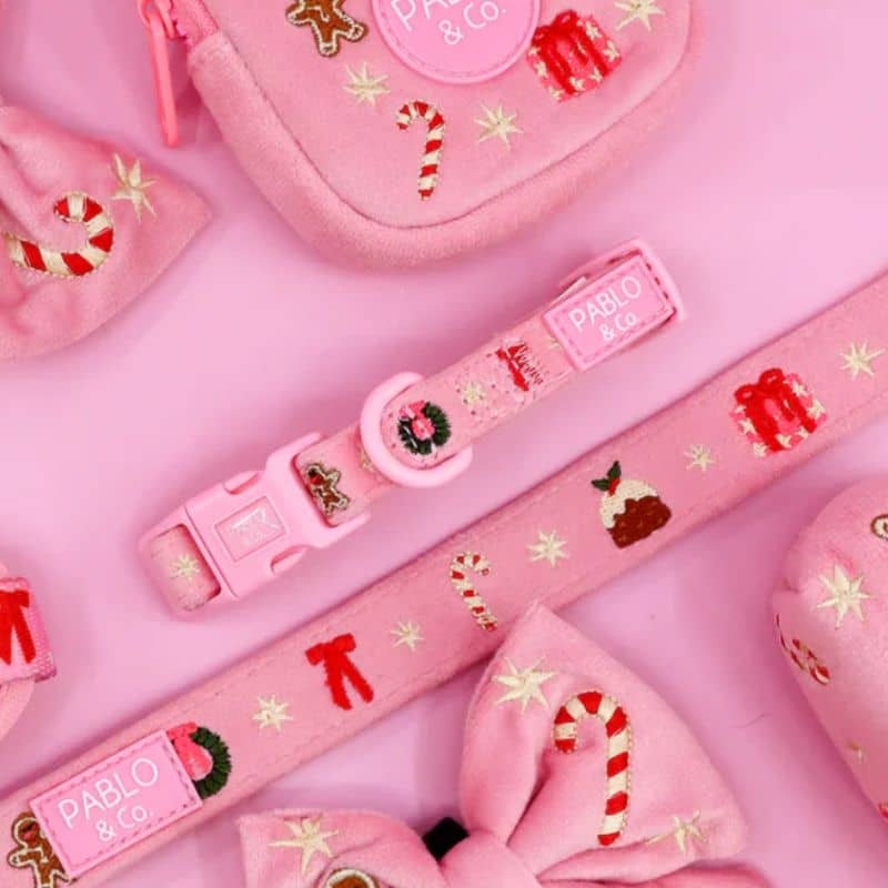 Collier pour chien ajustable en velours rose et broderie “Merry & bright” de Pablo & Co