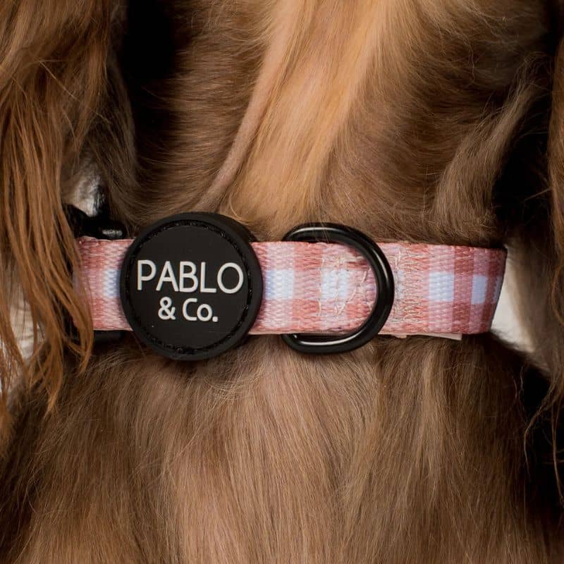 Détail du collier pour chien de Pablo & Co collection chocolate gingham