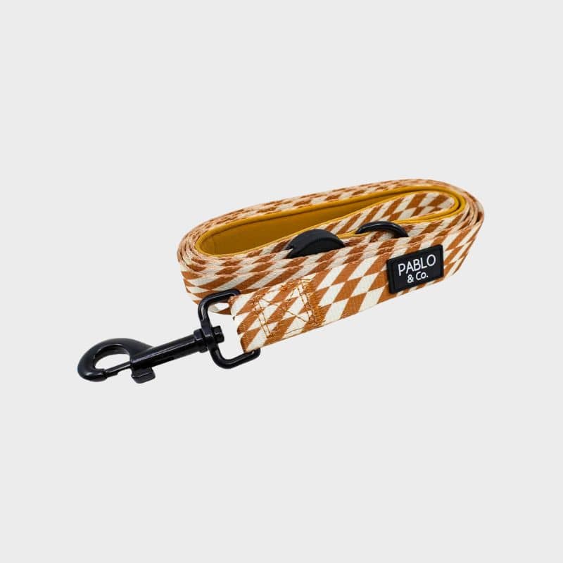Laisse en tissu pour chien motif check check marron de Pablo & co