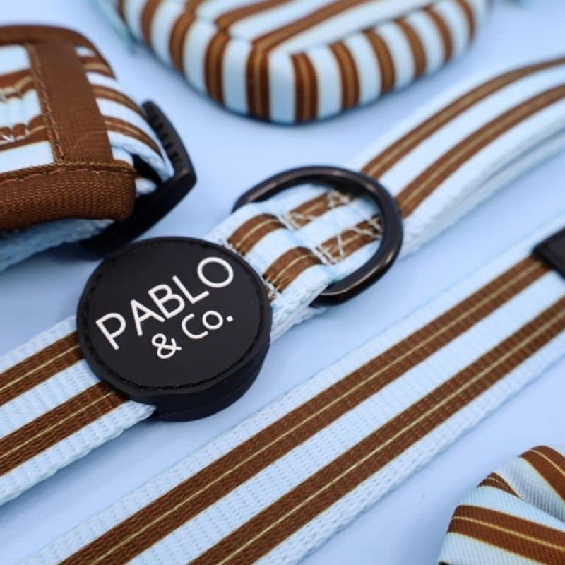 Détail du collier pour chien de Pablo & Co - Rayures tendances bleues et marrons