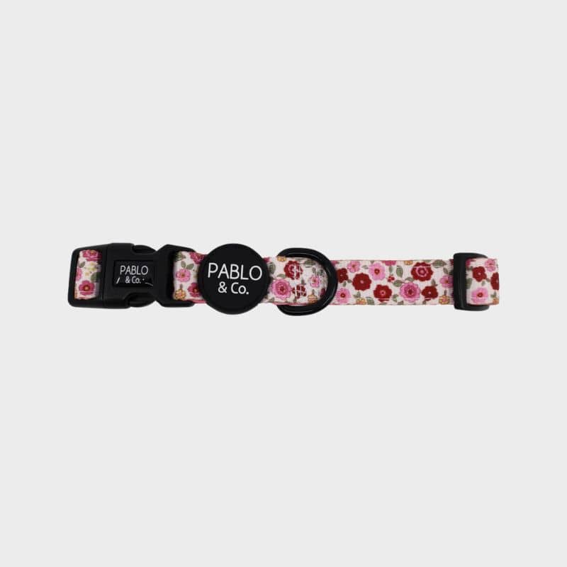Collier pour chien motif fleurs de Pablo & Co - primrose