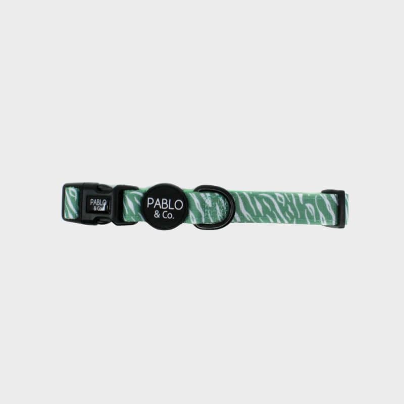 Collier pour chien Pablo & co motif green zebra