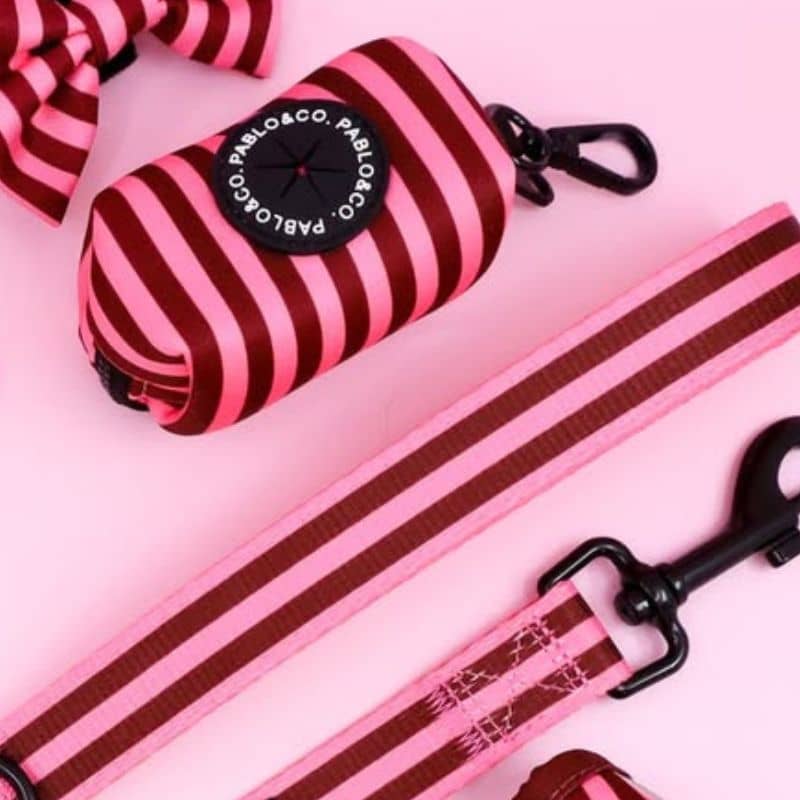 Distributeur sacs à déjection Pablo & Co - Rayures Blushing Stripes en rose et bordeaux