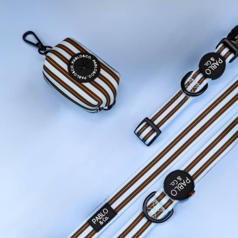 Distributeur sacs à déjection Pablo & Co - Rayures Sunday Stripes en bleues et marron