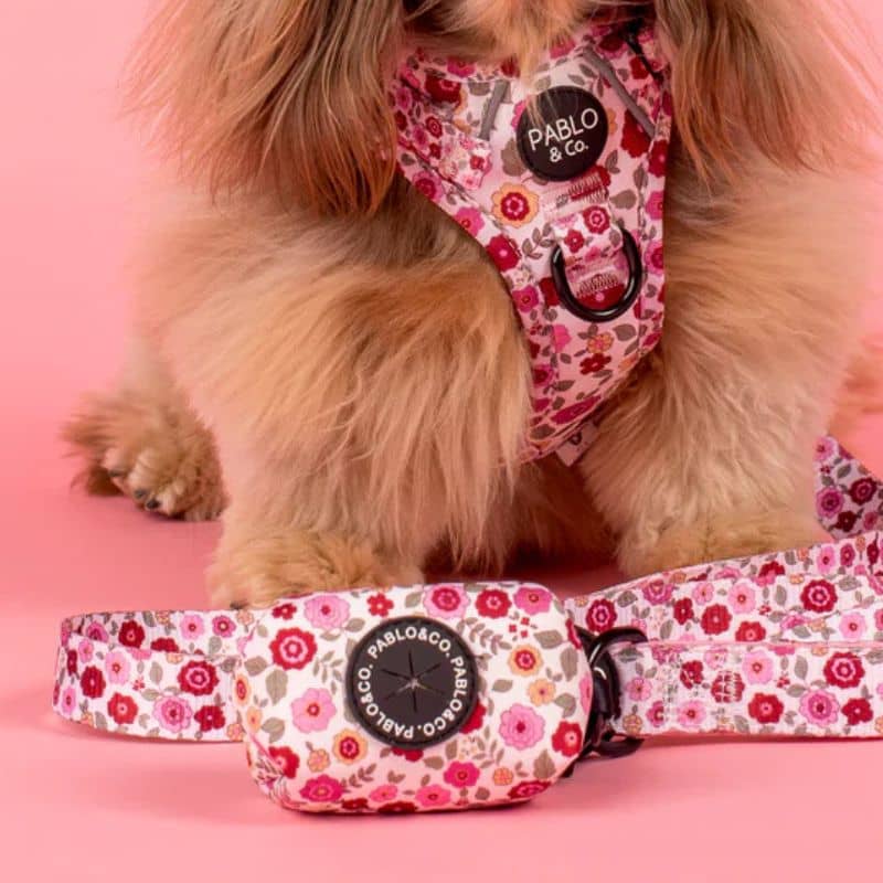 Poop bag pour les sacs à crotte de chien de Pablo & Co
