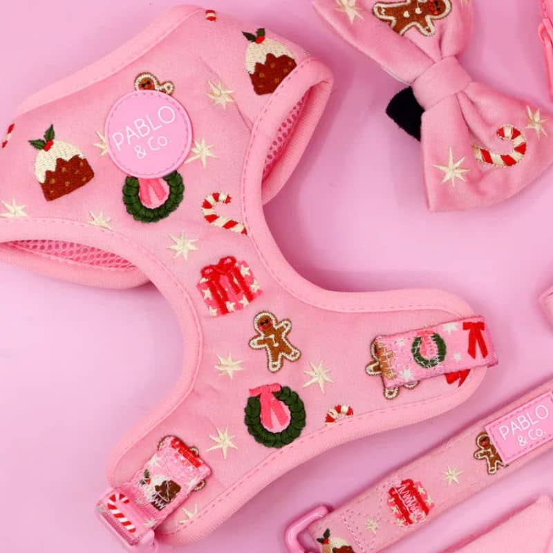 Détail du harnais pour chien de Pablo & Co en velours rose et broderie de Noël Merry & Bright