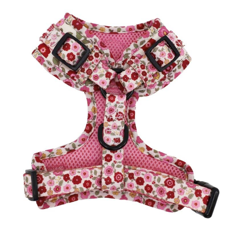 Harnais pour chien motif fleurs de la marque Pablo & Co