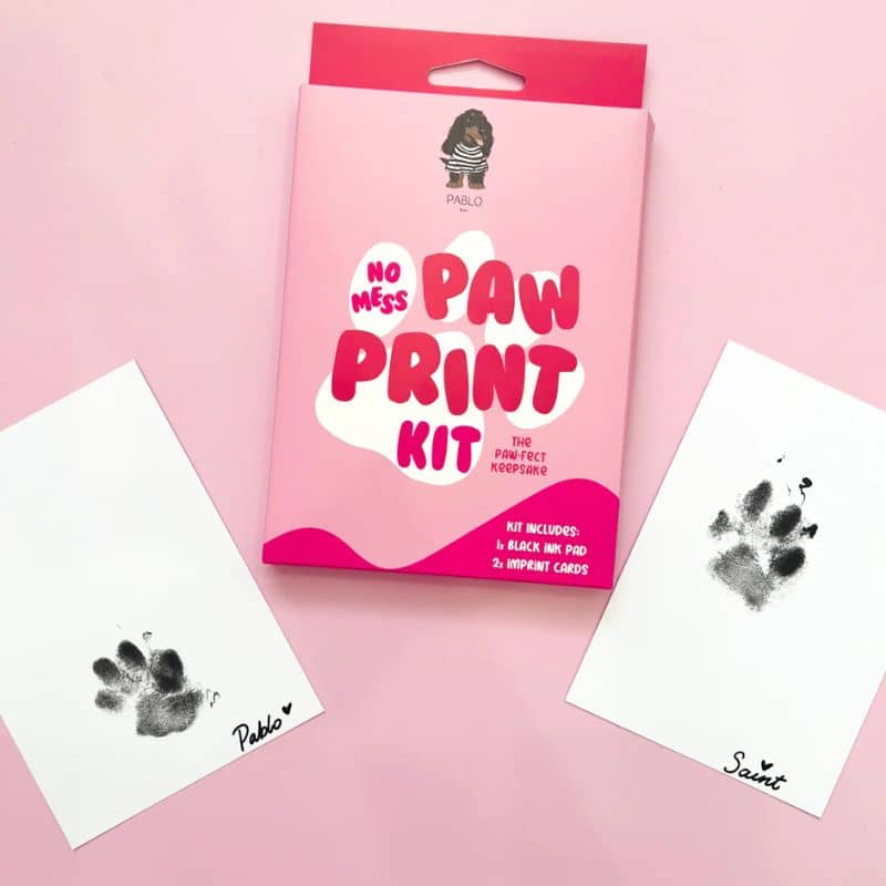 Idée cadeau pour chien ou chat - kit empreinte de patte encore noire de Pablo & Co