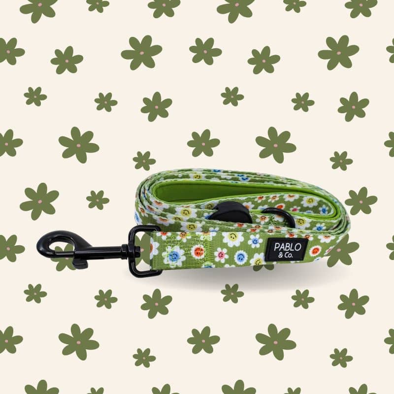Laisse en tissu pour chien motif smiley flowers de Pablo & co