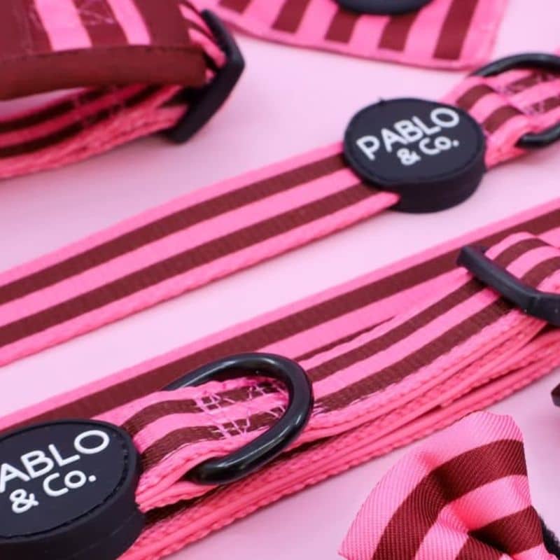 Laisse pour chien Pablo & Co - Rayures Blushing Stripes - tissu tendance à rayures roses et bordeaux