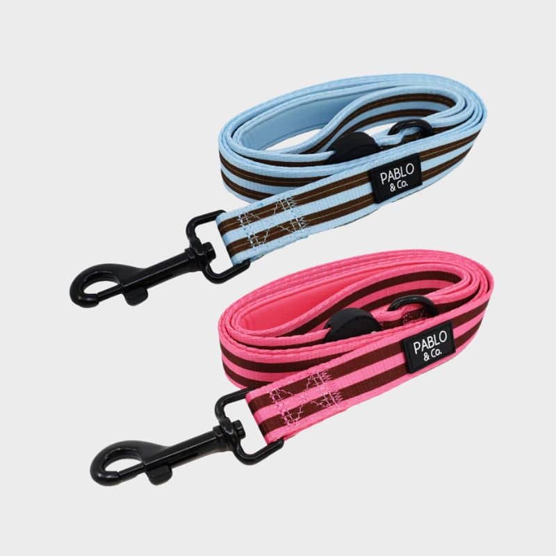 Laisse pour chien Pablo & Co - Rayures Sunday Stripes et Blushing Stripes - tissu tendance à rayures