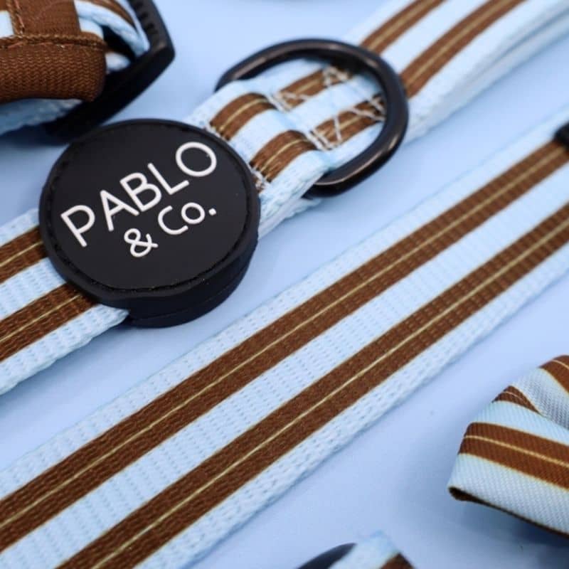 Laisse pour chien Pablo & Co - Rayures Sunday Stripes - tissu tendance à rayures bleues et marron
