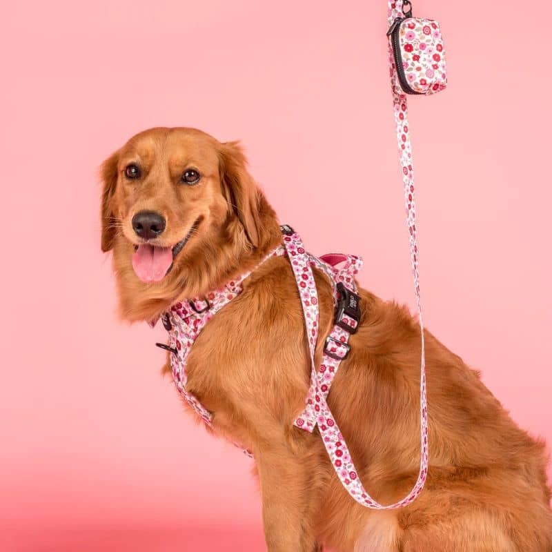 Chien avec une laisse en tissu motif fleurs en rose de Pablo & Co - primrose