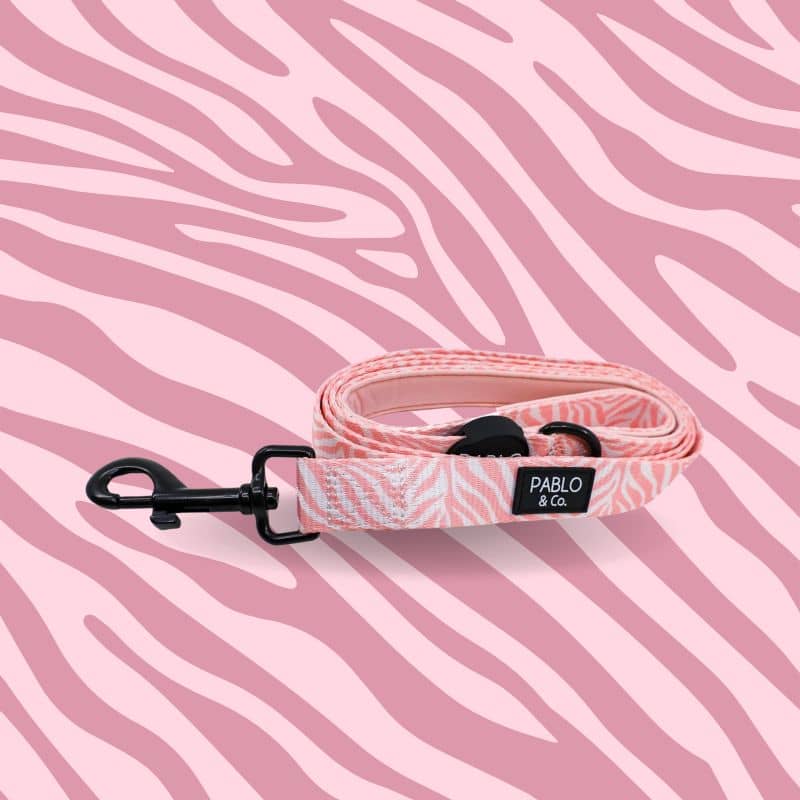 Laisse pour chien tendance motif zebre rose de Pablo and co