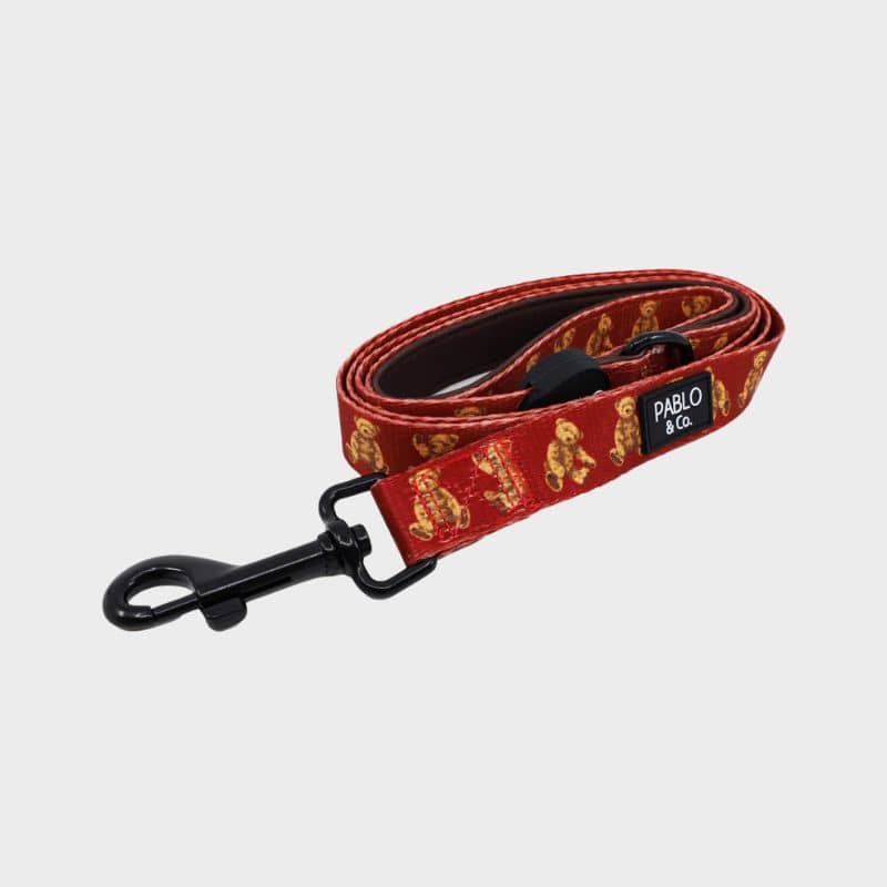 Laisse pour chien en tissu de la marque Pablo & Co motif teddy bear ourson Henry Bear