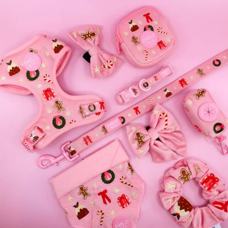 Collection de Noël pour chien Merry & Bright de Pablo & Co