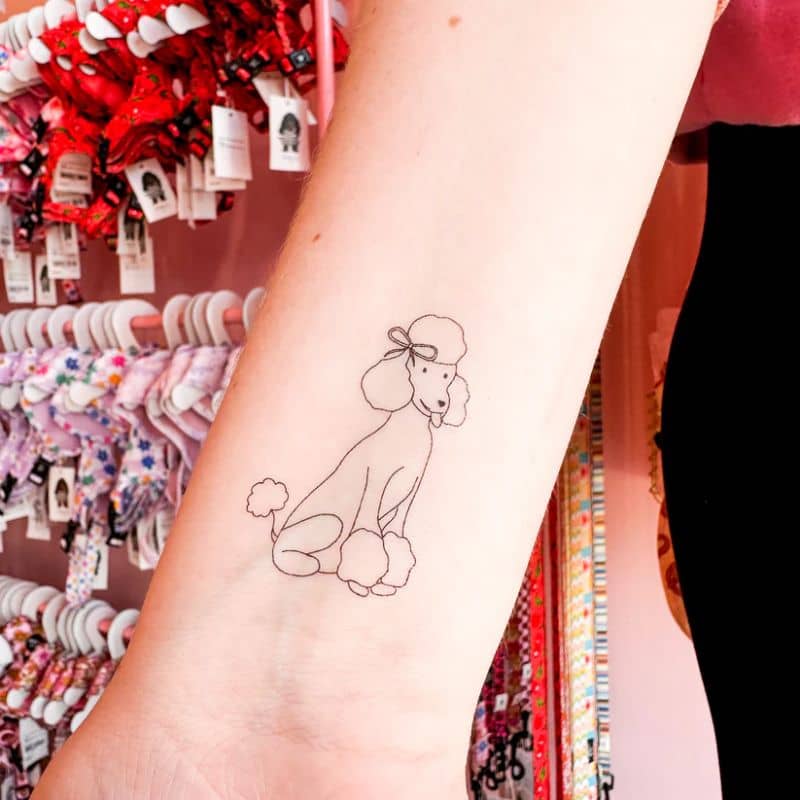 tatouage temporaire motif chien caniche pablo & co