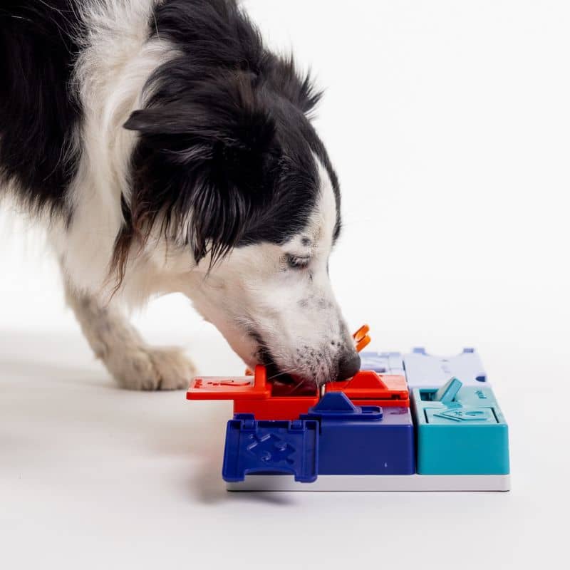 jouet d'occupation pour chien niveau  3 Genius set Pawzler : 14 cachettes à friandises pour stimuler et enrichir le chien via la dépense mentale - niveau difficile