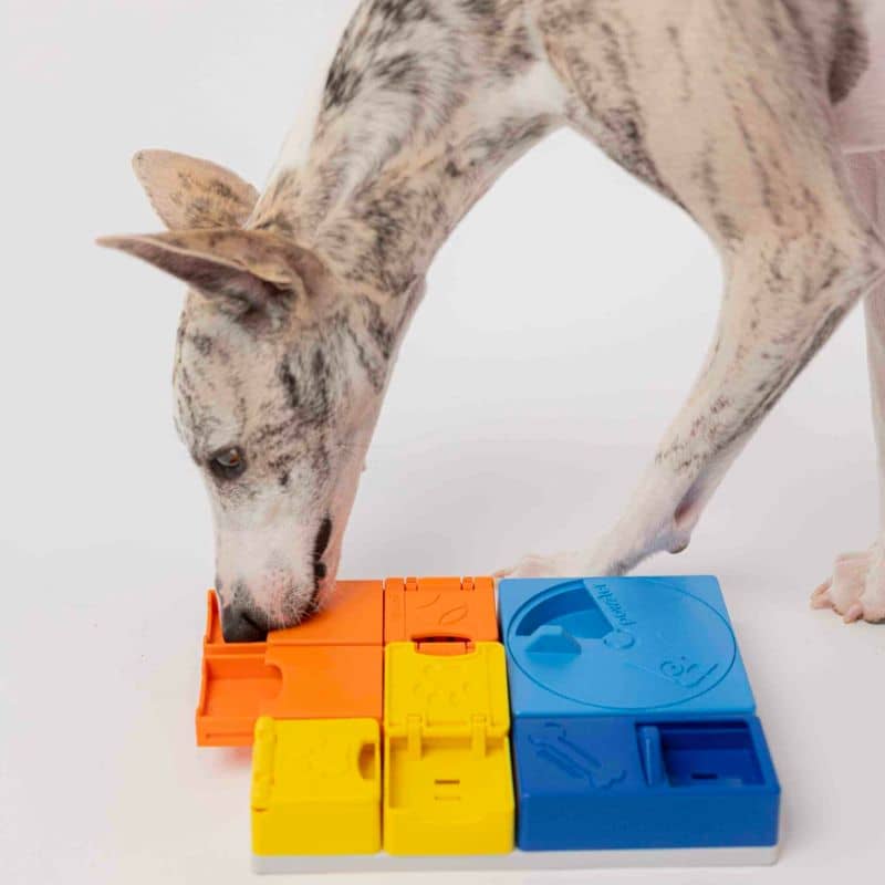 Cool free homemade dog puzzle!  Jeu chien, Jouet chien, Jeux d intelligence