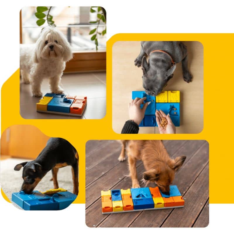 jouet d'occupation pour chien Rainbow set Pawzler : 15 cachettes à friandises pour stimuler et enrichir le chien via la dépense mentale 