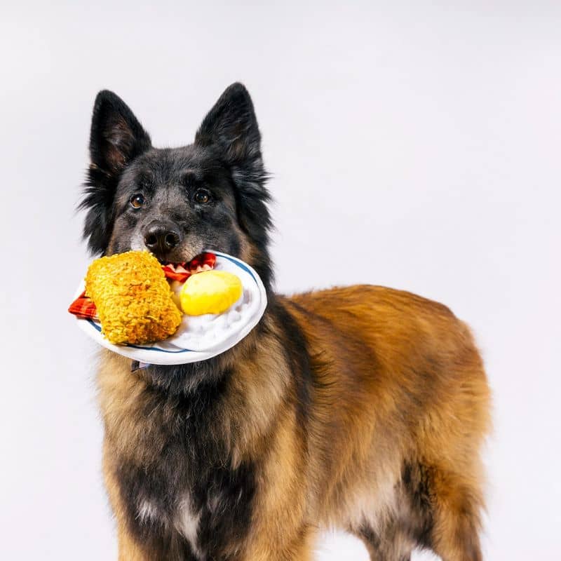 jouet interactif pour chien PLAY x IHOP en forme d'assiette english breakfast avec bacon et oeuf
