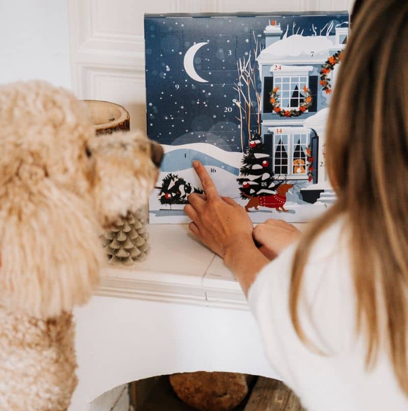 calendrier de l'avent haut de gamme pour chien 25 cases avec des friandises naturelles au boeuf, agneau et cerf en forme de livre