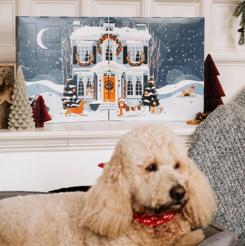 calendrier de l'avent premium pour chien 25 cases avec des friandises naturelles au boeuf, agneau, cerf, legumes de Pets Best