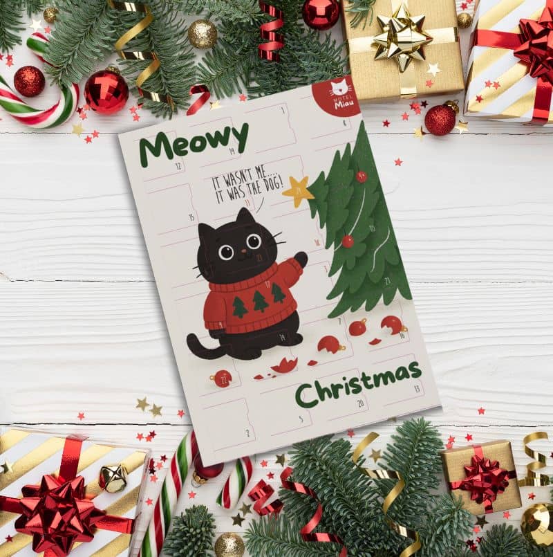 calendrier de l'avent pour chat 24 cases avec des friandises au saumon et à la volaille Pets best