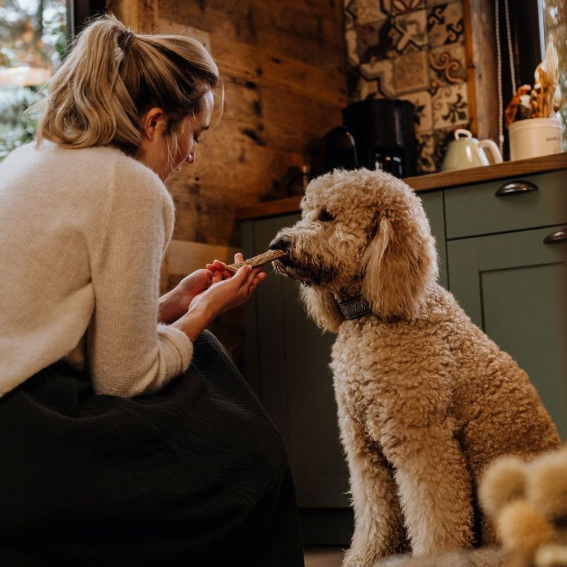 Lanières d'agneau pour chien - friandises saines et hypoallergenique