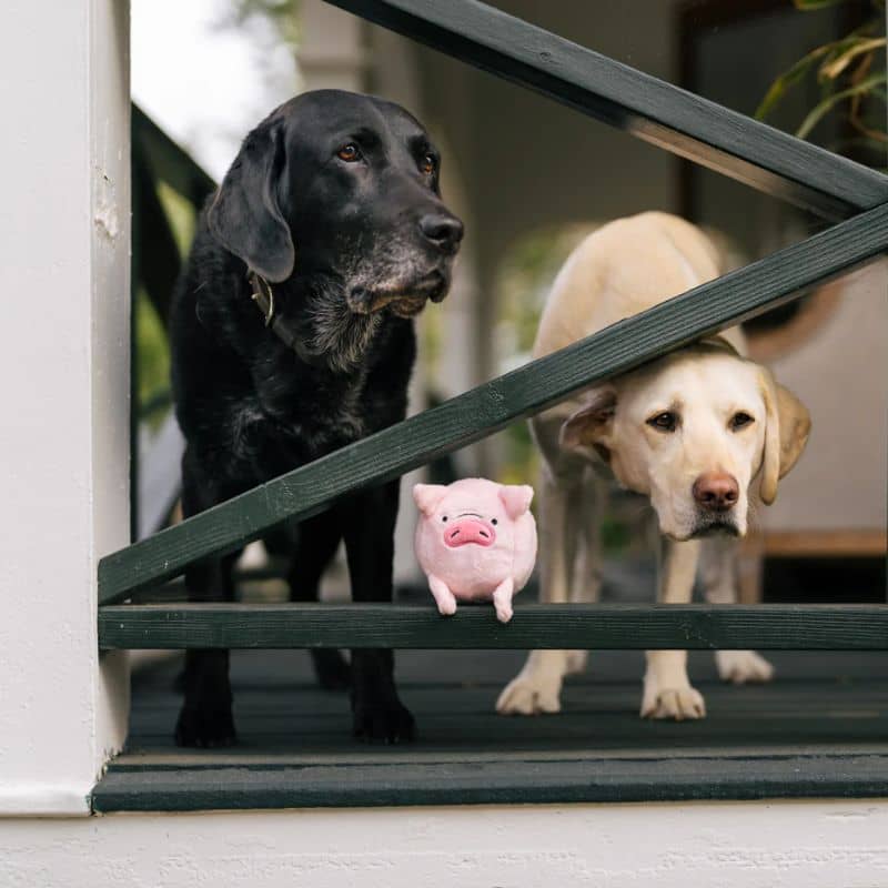 Balle en peluche pour chien en forme de mouton de la marque PLAY