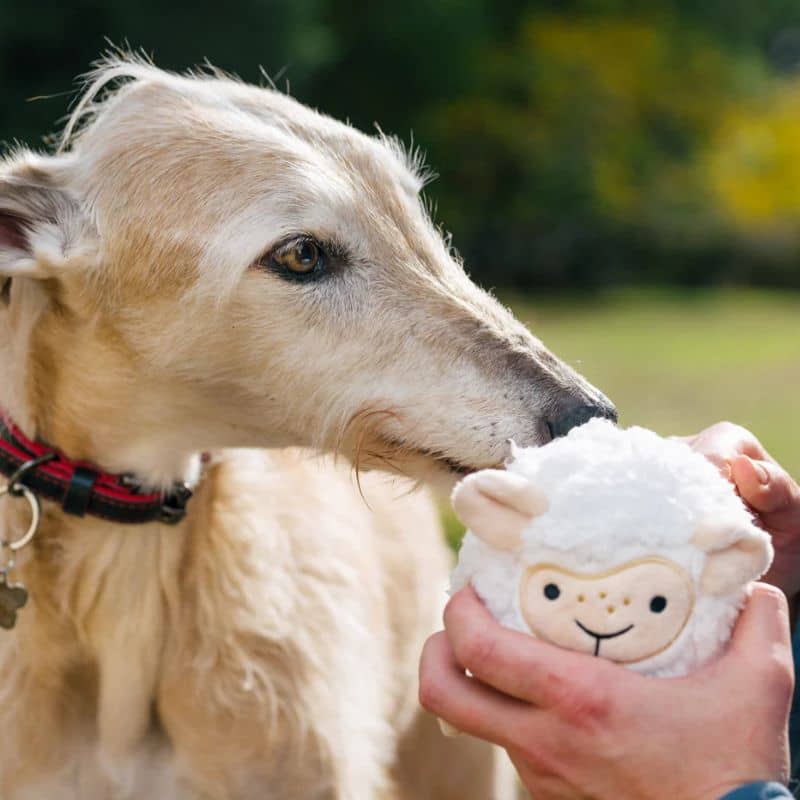 Balle en peluche pour chien en forme de mouton de la marque PLAY