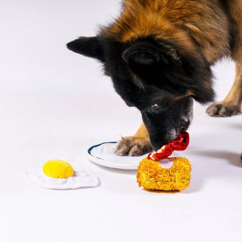 jouet interactif pour chien PLAY x IHOP en forme d'assiette english breakfast avec bacon et oeuf
