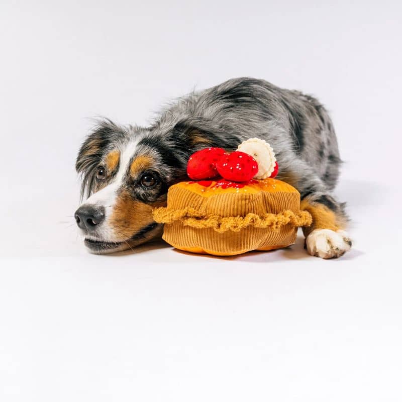 jouet peluche pour chien PLAY x IHOP en forme de toast de pain perdu / french toast qui couine 
