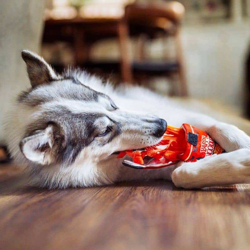 Jouet peluche pour chien en forme de pot de nouilles qui couine et dans lequel on peut cacher des friandises - Slurp It Up  Internation classic street food edition Play