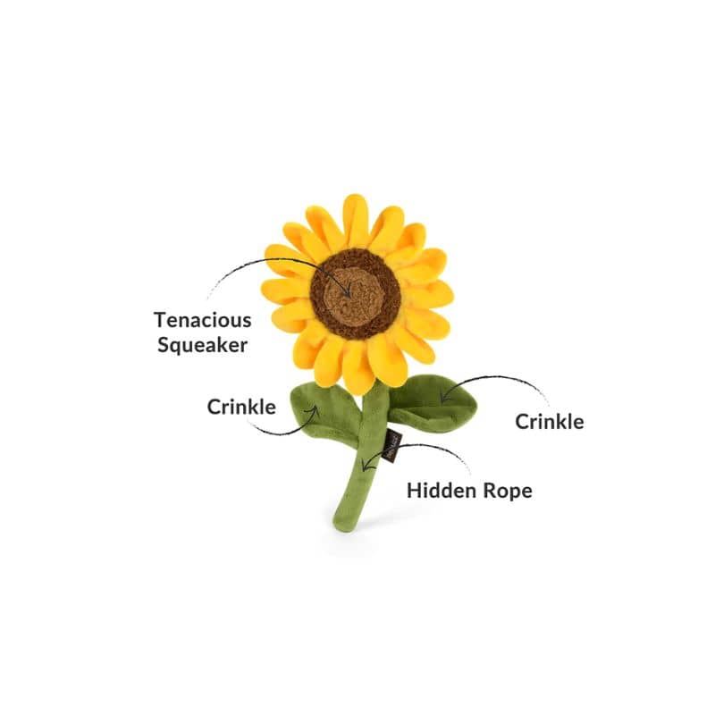 jouet peluche pour chien en forme de fleur tournesol Sassy Sunflower qui couine et fait du bruit de papier froissé de la marque PLAY 
