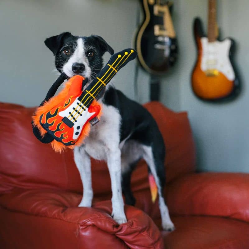 jouet peluche pour chien en forme de guitare qui couine et fait du bruit de papier froissé de la marque PLAY - Rock'n Rollover dans la collection 90's classic