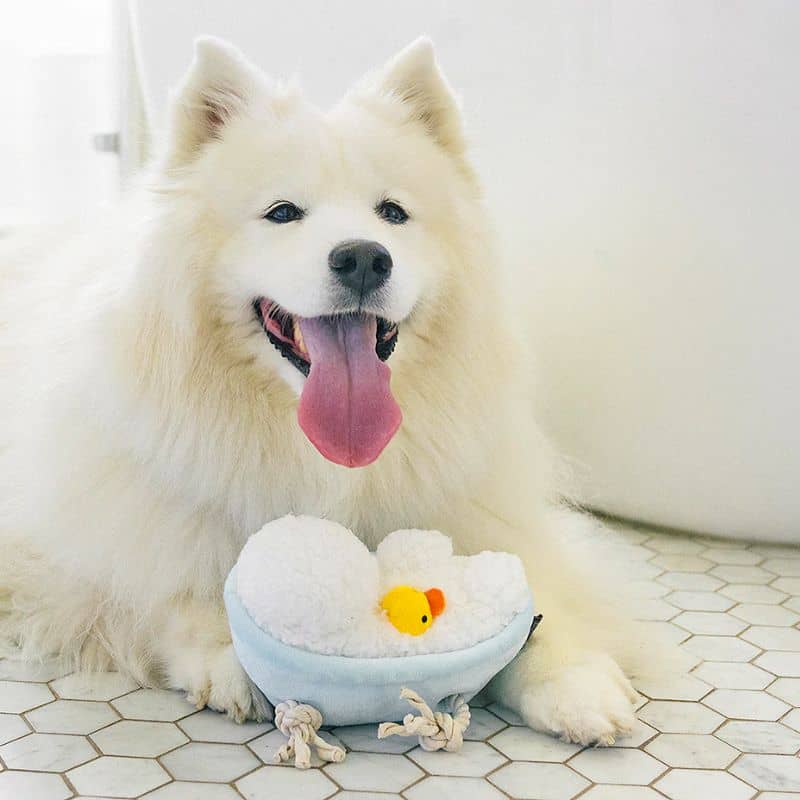 jouet peluche pour chien en forme de baignoire avec canard de bain jaune - Rub a dub tub de la collection Splish Splash de Play