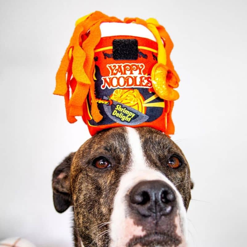 Jouet peluche pour chien en forme de pot de nouilles qui couine et dans lequel on peut cacher des friandises - Slurp It Up  Internation classic street food edition Play afin d'occuper son chien durant les absences