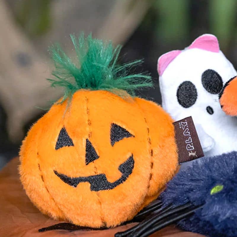 duo de jouets halloween à l'herbe à chat en forme de citrouille et de fantome avec bruit de papier froissé pour stimuler le chat
