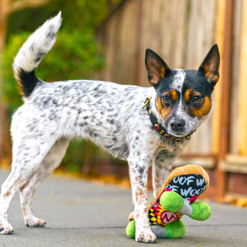 jouet peluche pour chien en forme de skateboard qui couine et fait du bruit de papier froissé de la marque PLAY - Kickflippin' K9 dans la collection 90's classic