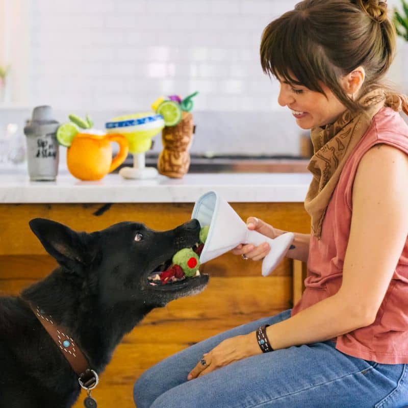 jouet peluche pour chien avec corde et couineur en forme de cocktail Martini - Pawtini de la collection Barktender de Play