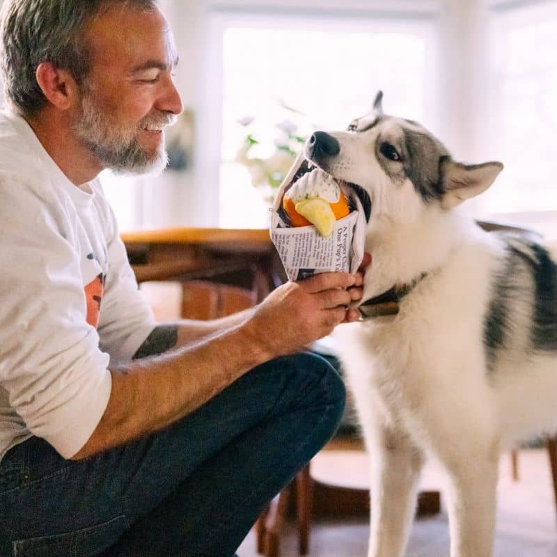 Jouet peluche pour chien en forme de fish & chips composé d’un journal, d’une frite et d’un poisson qui couinent et font un bruit de papier froissé - Chippy Chews Internation classic street food edition Play
