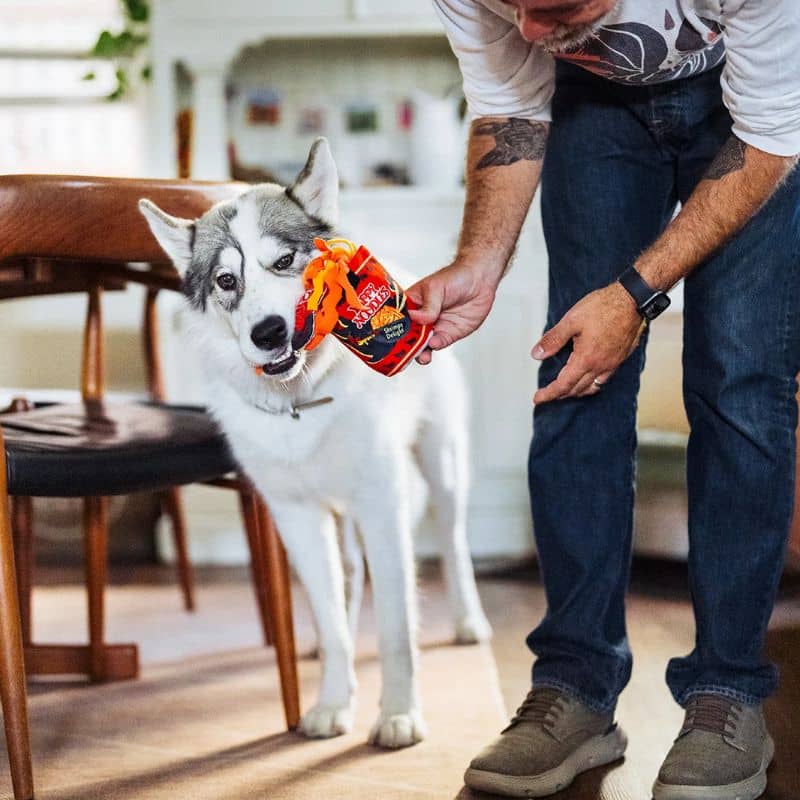 Jouet peluche pour chien en forme de pot de nouilles qui couine et dans lequel on peut cacher des friandises - Slurp It Up  Internation classic street food edition Play