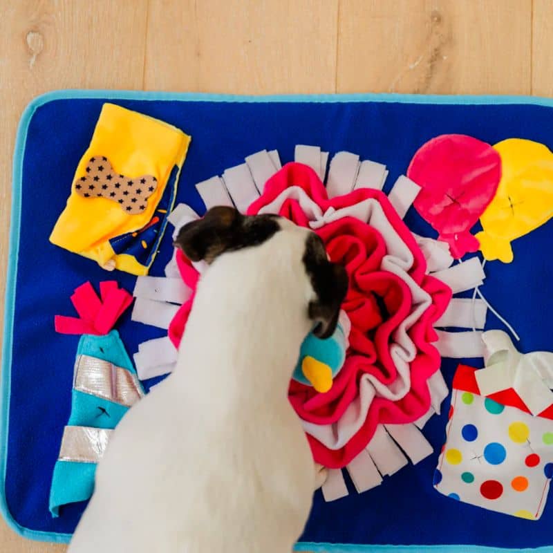 tapis de fouille et d'occupation en forme de gateau d'anniversaire de la marque PLAY idéal pour occuper et stimuler le chien grâce à la recherche de friandises faisant travailler son flair - Play snuffle mat woof day celebration